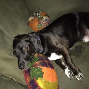 Meet your Posher, Clare